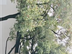 -胡雪岩故居