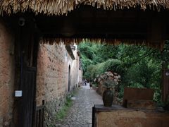 -杨家堂村