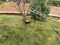 -南京金牛湖风景区