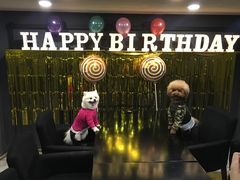 -百好乐宠物友好餐厅(朝外大街店)