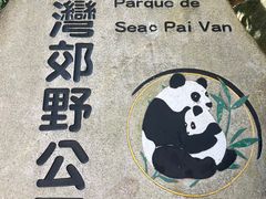 -石排湾郊野公园