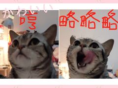 -仁华宠物医院(青羊店)