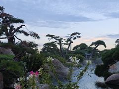 -罗红摄影艺术馆