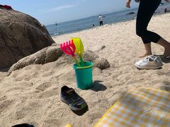 -玫瑰海岸文化旅游度假区