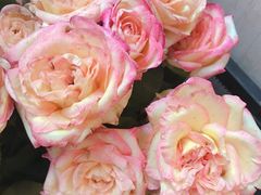 -森野花艺培训·企业团建活动沙龙