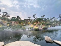 -罗红摄影艺术馆