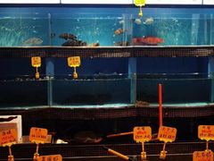 -怀德酒楼·粤菜·海鲜·茶点(宝安国际机场店)