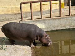 -青藏高原野生动物园