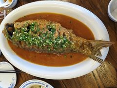 -老雒阳面馆·水席(定鼎门店)