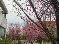 -国际非物质文化遗产博览园