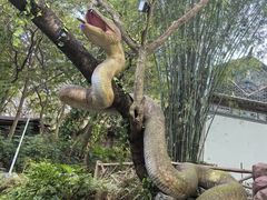 -深圳锦绣中华民俗村