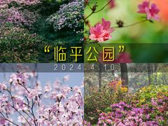 -临平公园(临平街道)