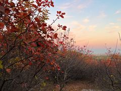 -北京西山国家森林公园