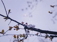 -济南大明湖景区