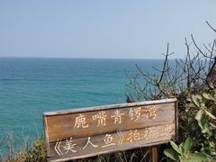 -杨梅坑