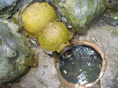 -五营红松林海景区