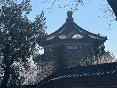 -张一元·(王府井店)
