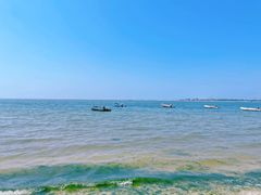 -春华海鲜城(广场西苑店)