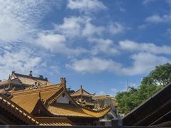 -深圳仙湖植物园