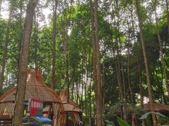 -二荆条·蜀鲜汇城市森林火锅