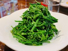 清炒豌豆尖-烤肉季饭庄