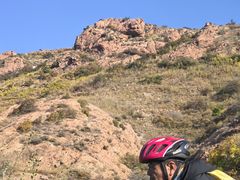 -红山国家森林公园