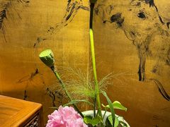 -苏州本色美术馆
