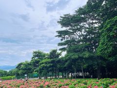 -深圳湾公园(南山区)