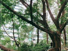 -成都市活水公园