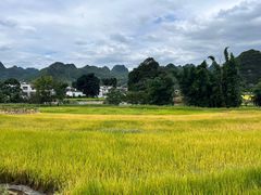 -万峰林风景区