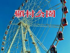-顾村公园
