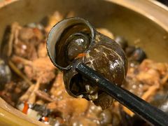 -食爺炭炉鸡煲·烧烤