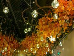 -湖锦酒楼·31年地道湖北菜(黄鹤楼店)