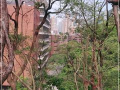 -香港大学
