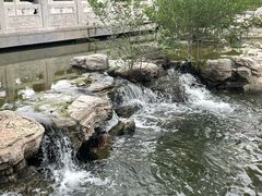 -莲花池公园