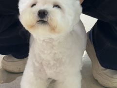 -帕帕拉兹宠物(亚洲旗舰店)