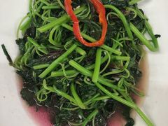 -刘胖子家常菜·蹄花焖藕(兴业店)