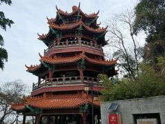 -神光山国家森林公园