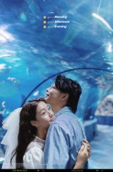 -鱼映像摄影·珍藏级影像品牌