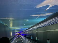 -白鹤梁水下博物馆