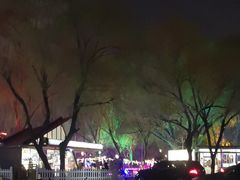 -枫花园汽车电影院(朝阳公园店)