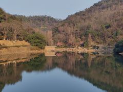 -桃花岭景区