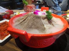 -矮板凳老火锅(宽窄巷子店)