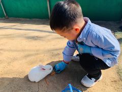-前小桔亲子创意农场·草莓采摘·露营烧烤