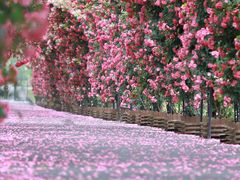 -广富林郊野公园