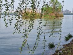-艾溪湖湿地公园