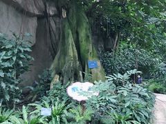 -南山植物园