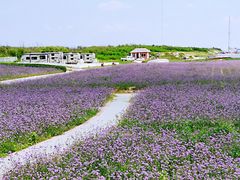 -渔岛海洋度假区