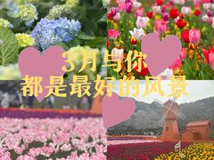 -苏州上方山国家森林公园