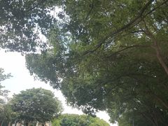 -同里国家湿地公园
